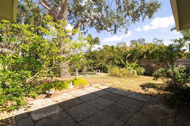 view of yard featuring a patio