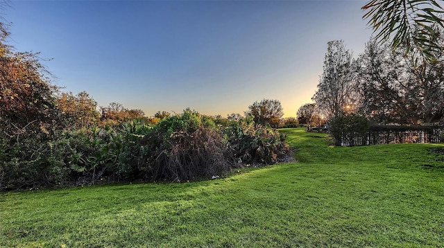 view of yard at dusk