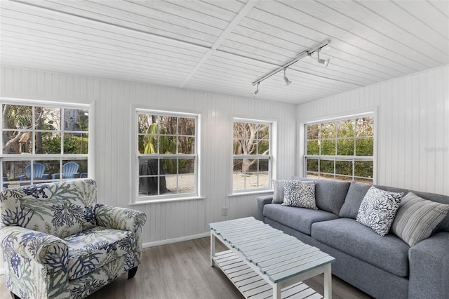 sunroom with track lighting