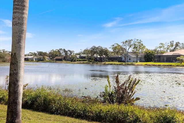 property view of water