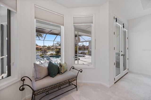 sitting room featuring light colored carpet and a wealth of natural light