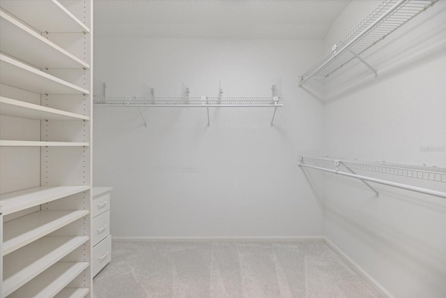 spacious closet featuring light carpet