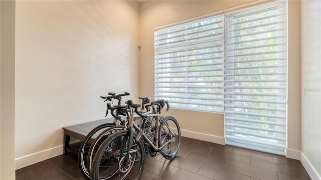 interior space featuring a healthy amount of sunlight, dark tile patterned floors, and baseboards