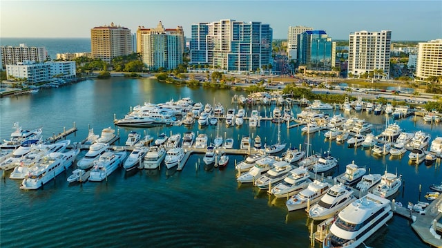 property view of water with a city view