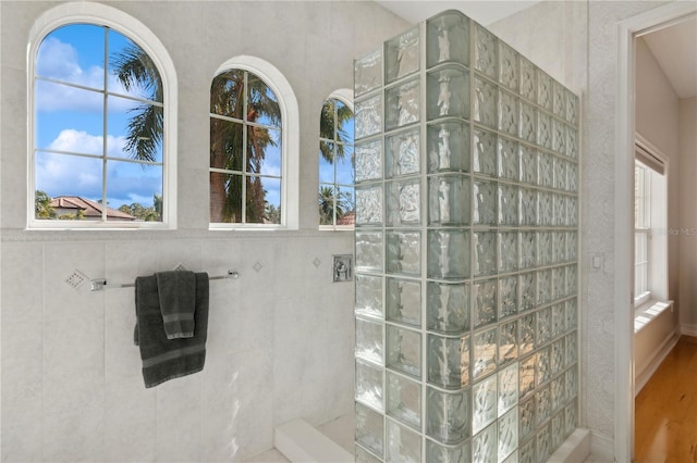 13315 Palmers Creek Ter, Lakewood Ranch, FL 34202 - bathroom with walk in shower