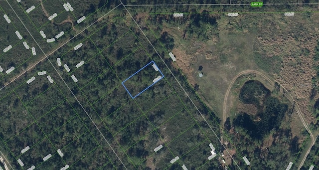 558 Palm St, Lake Placid FL, 33852 land for sale