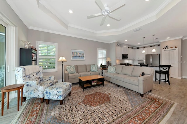 living room with a tray ceiling, light hardwood / wood-style flooring, and a wealth of natural light
