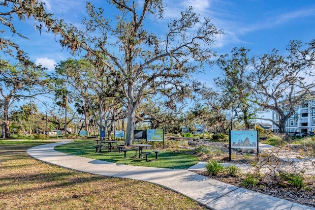 view of property's community with a yard