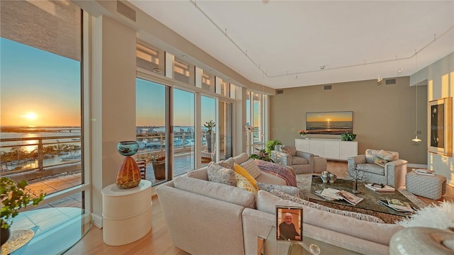 living room featuring hardwood / wood-style flooring and rail lighting