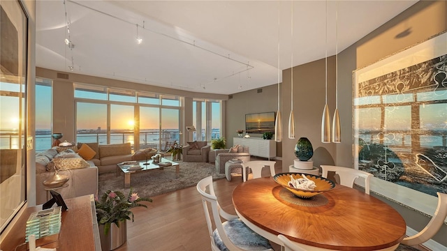 dining space featuring hardwood / wood-style flooring