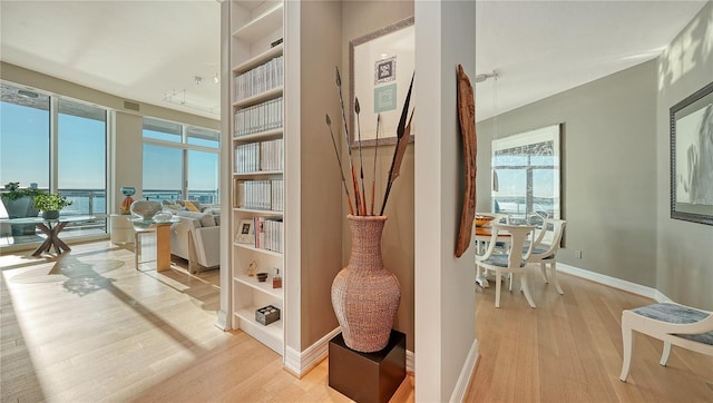 interior space with light hardwood / wood-style flooring and floor to ceiling windows