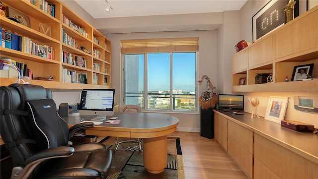 office space featuring built in desk and light hardwood / wood-style flooring