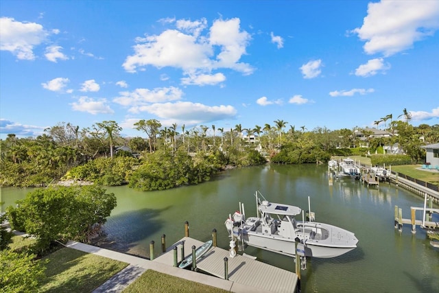 dock area with a water view