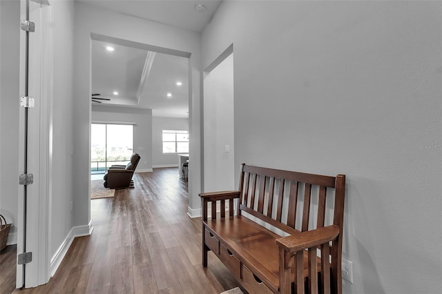 hall with a raised ceiling and hardwood / wood-style floors