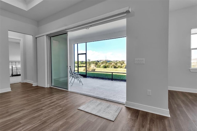 doorway with dark hardwood / wood-style flooring