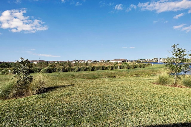 view of local wilderness with a rural view