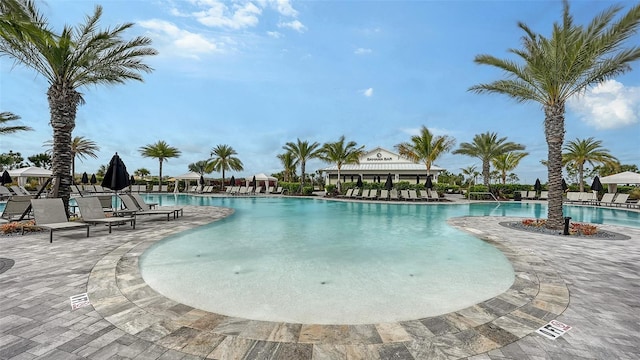 view of pool featuring a patio area