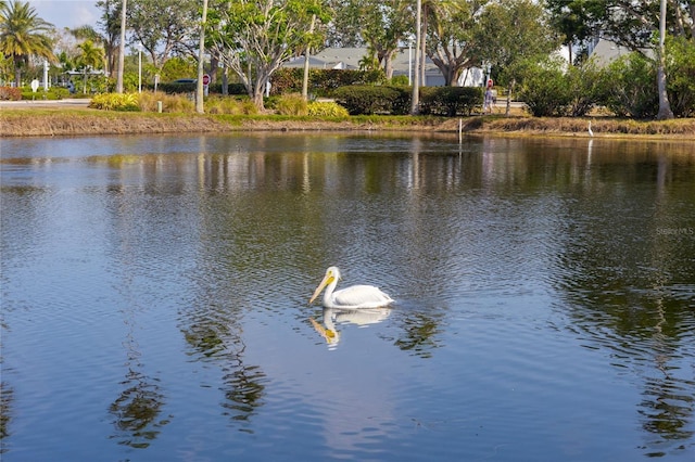 view of water feature