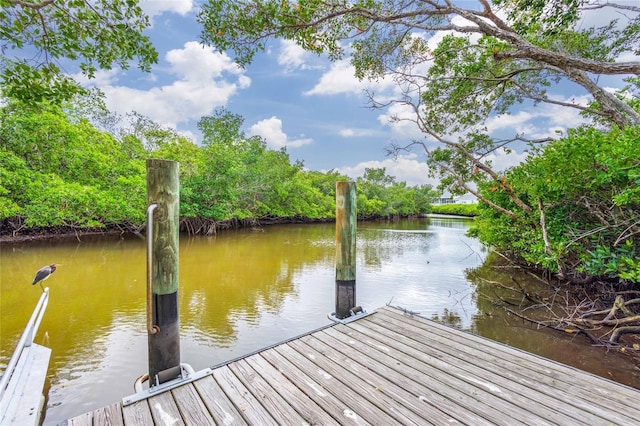 dock area featuring a water view