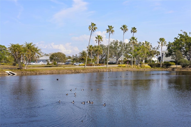 property view of water