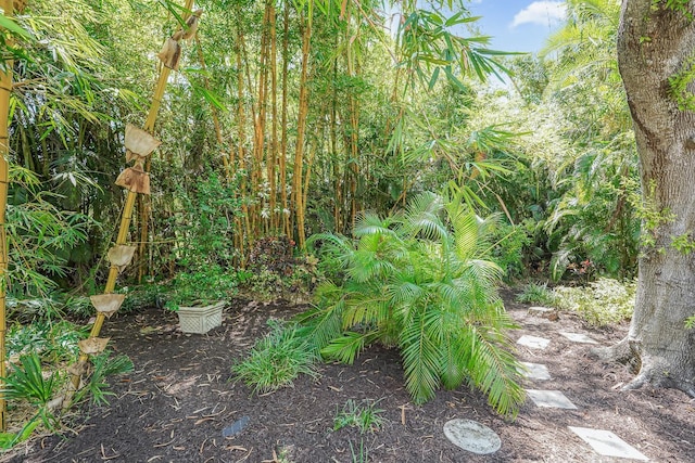 67 Sugar Mill Dr, Osprey, FL 34229 - photo 73