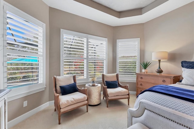 carpeted bedroom with a raised ceiling