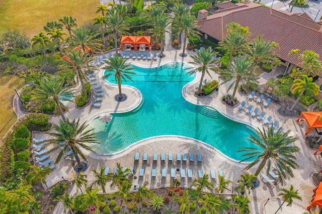 view of pool featuring a patio