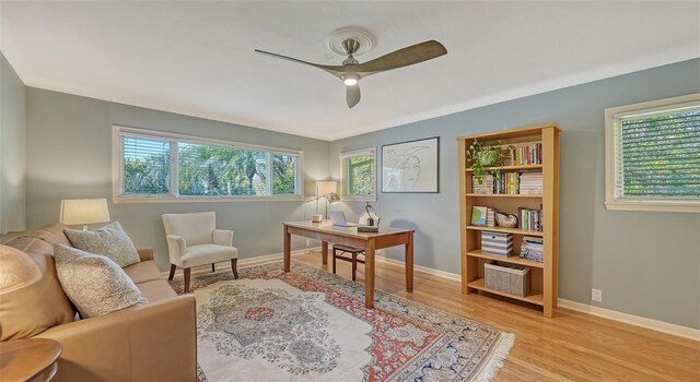 office featuring ceiling fan and light hardwood / wood-style flooring