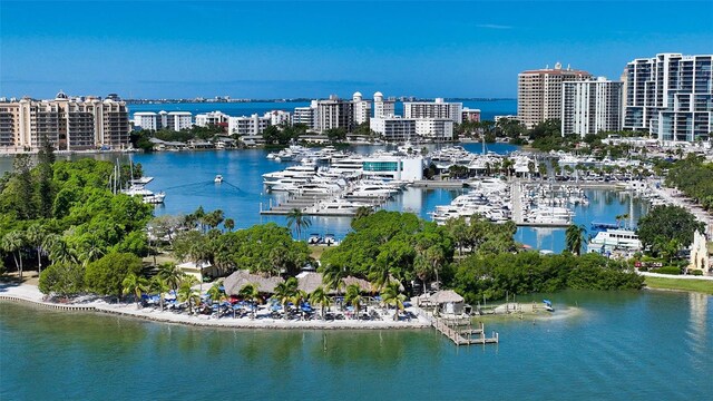 bird's eye view featuring a water view