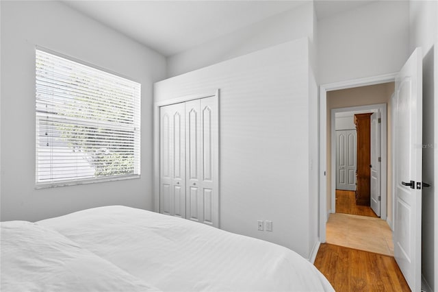 bedroom featuring a closet and light hardwood / wood-style flooring