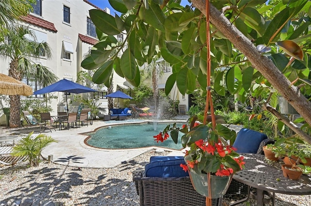 view of swimming pool featuring a patio