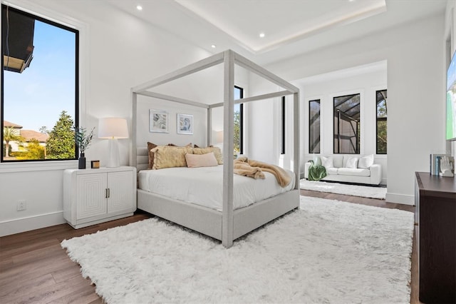 bedroom with a raised ceiling and hardwood / wood-style floors