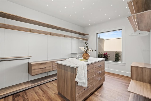 spacious closet with light wood-type flooring