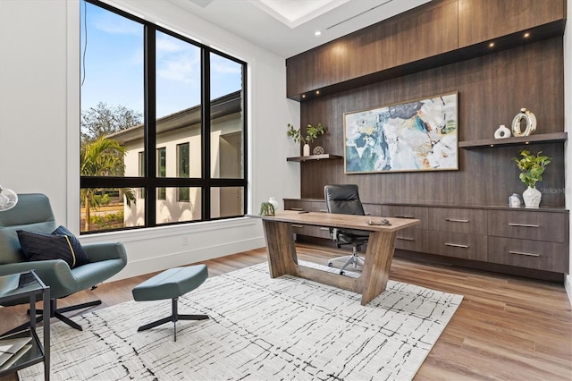 office space featuring light hardwood / wood-style flooring