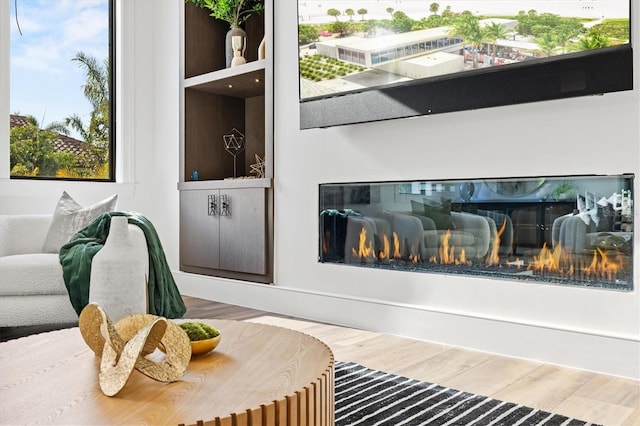 interior details featuring hardwood / wood-style flooring