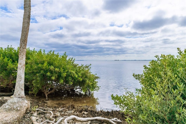 water view