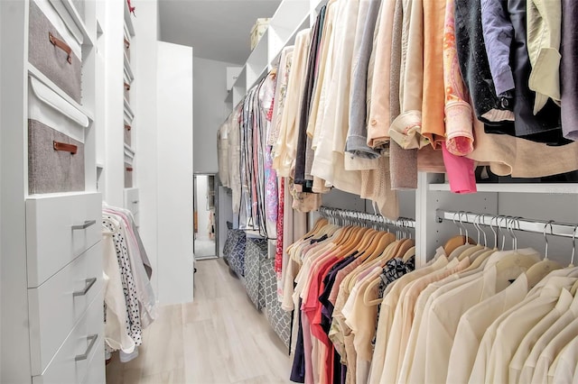 spacious closet featuring light hardwood / wood-style flooring