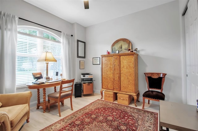 office featuring light hardwood / wood-style flooring