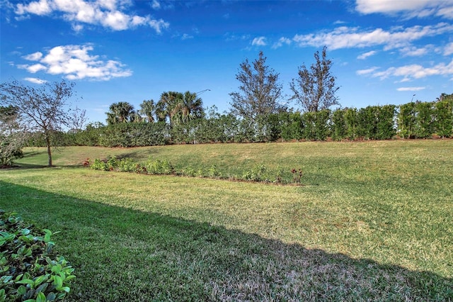 view of yard featuring a rural view