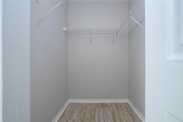 walk in closet with light wood-type flooring