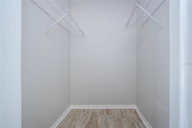 spacious closet featuring wood-type flooring