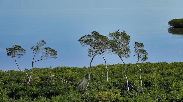 view of local wilderness with a water view and a forest view