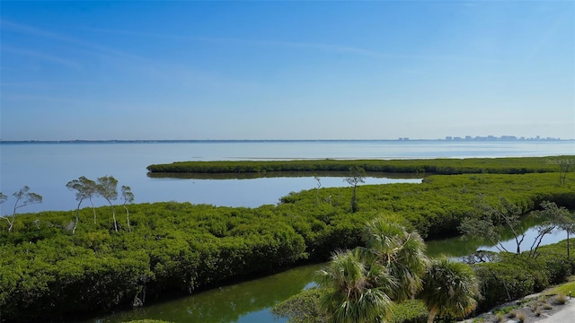 property view of water