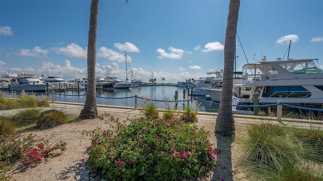 dock area with a water view