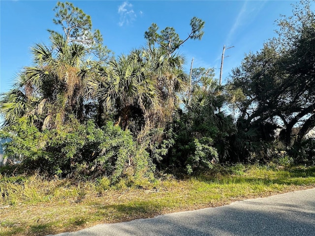 219 Swift St, Port Charlotte FL, 33954 land for sale