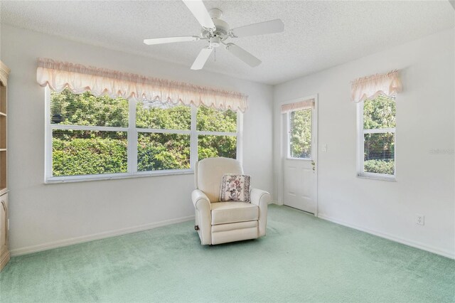 living area with ceiling fan, carpet floors, and a textured ceiling