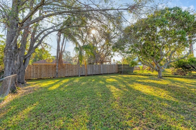 view of yard