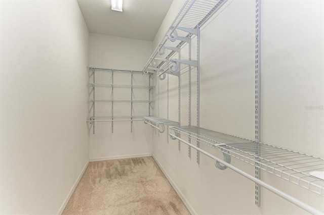 spacious closet with light colored carpet