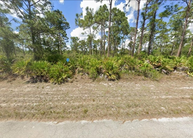 1245 Bermar St, Fort Myers FL, 33913 land for sale