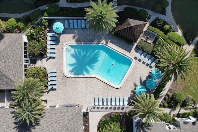 view of swimming pool featuring a patio area